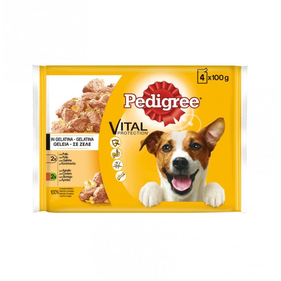 PEDIGREE ADULT POLLO BG11S 13UNX400GR.