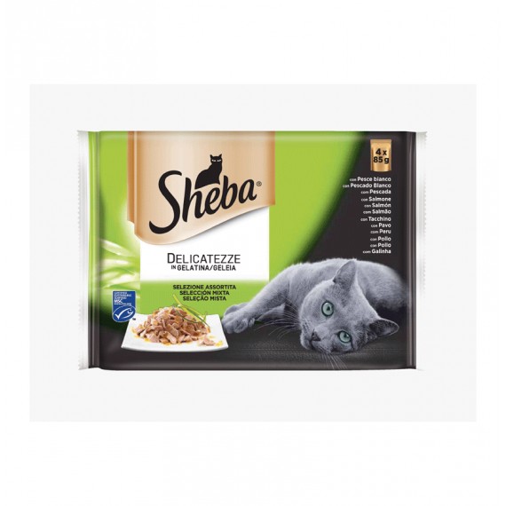 SHEBA SELECCION MIXTA BA34B 13UNX340GR.